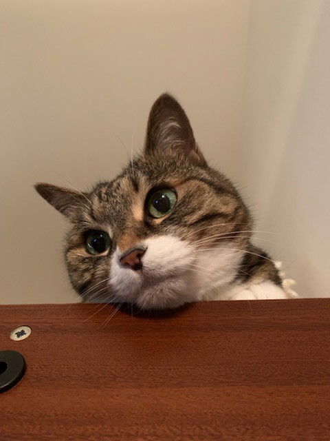 ジュエリーlover