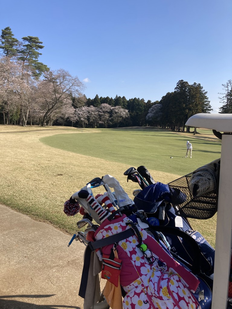 birdie