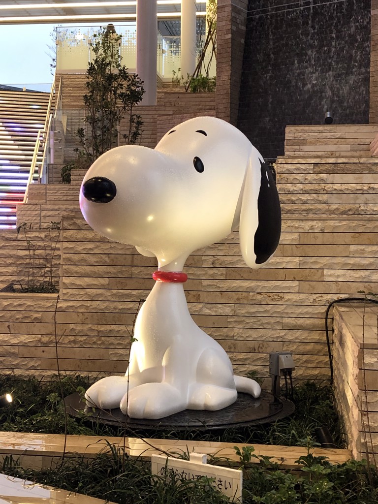 白いちご