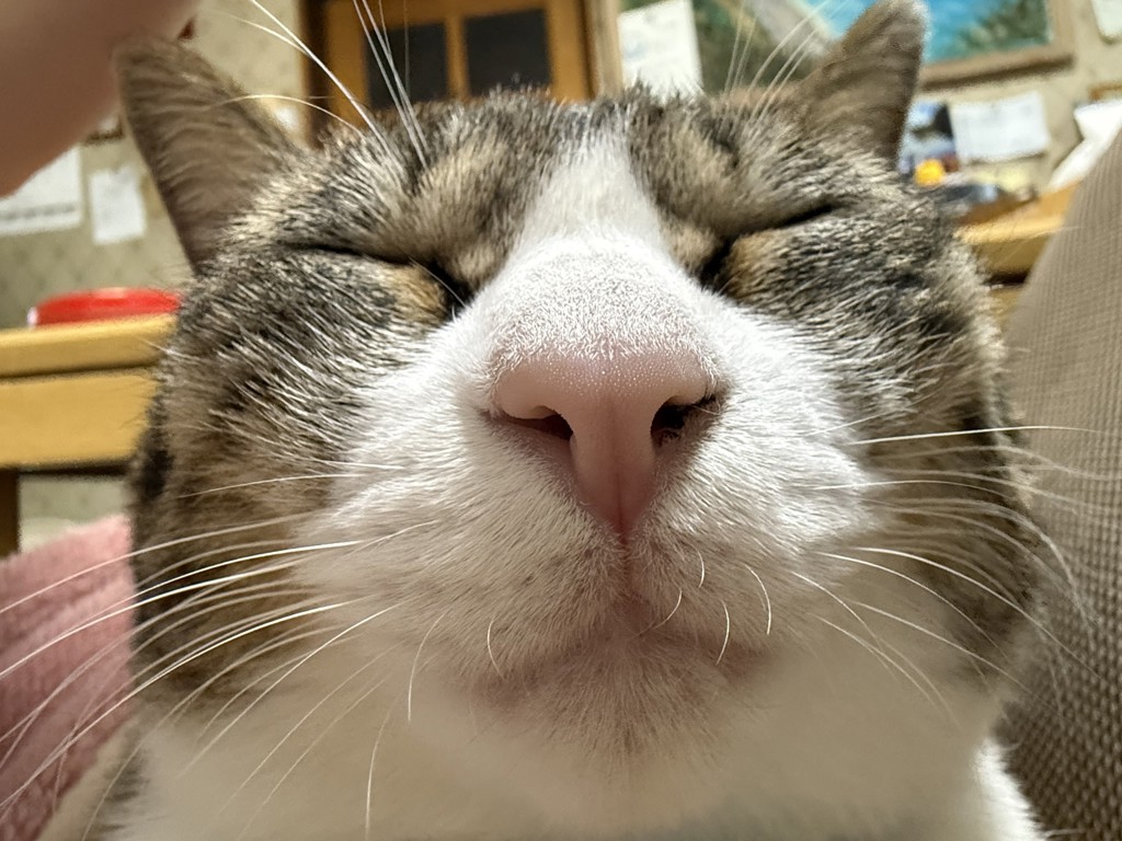 ユーザーアイコン