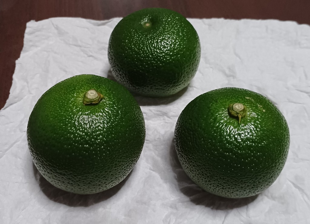 ゆん様　おまとめ品専用 やまぐちブランド】長門ゆずきち 約1kg: 正直やまぐち|【JAタウン