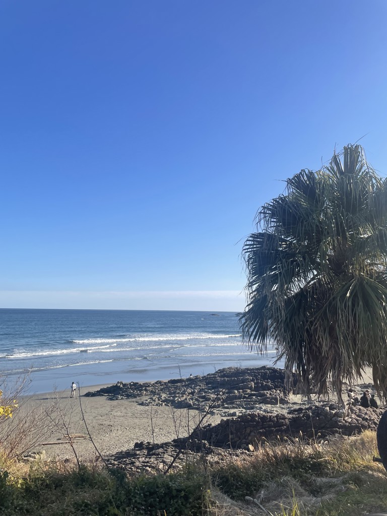 SUKALA】フロントギャザークロスキャミソール(S・M・Lサイズ スモーク