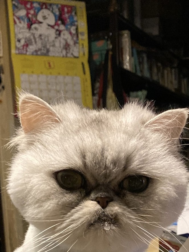 no name