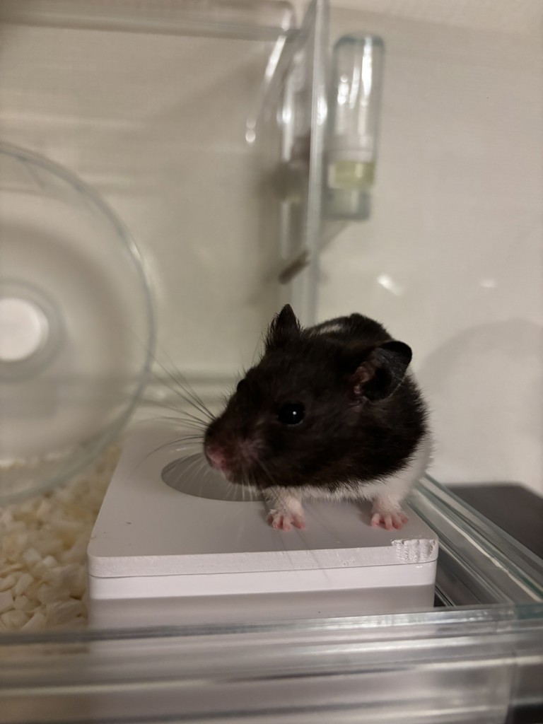 ユーザーアイコン