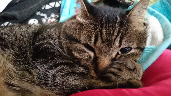 no name