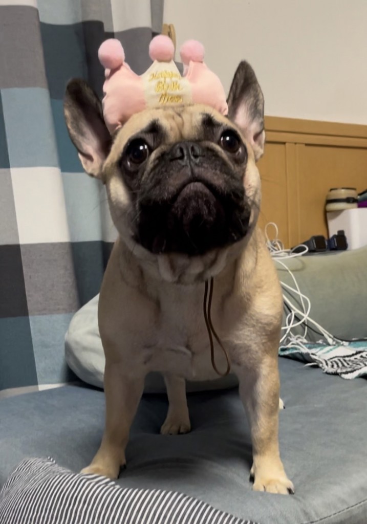 あやちん