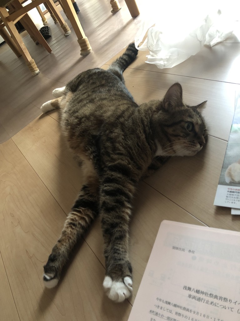 さくら