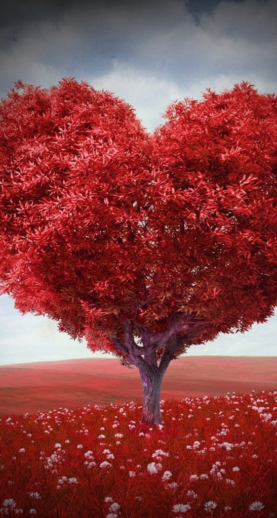 ボディミスト サツマ ｜ THE BODY SHOP（ザボディショップ