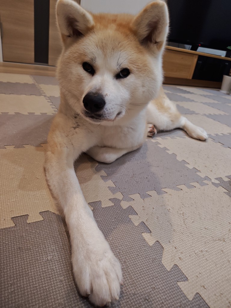 もも