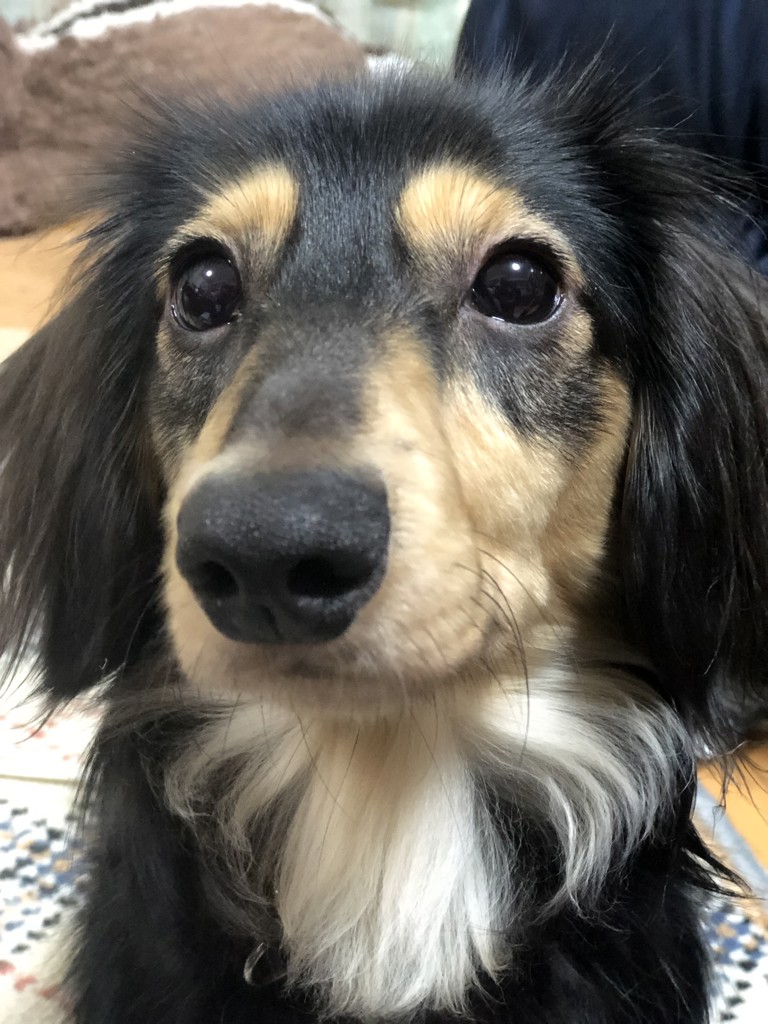 ろこ