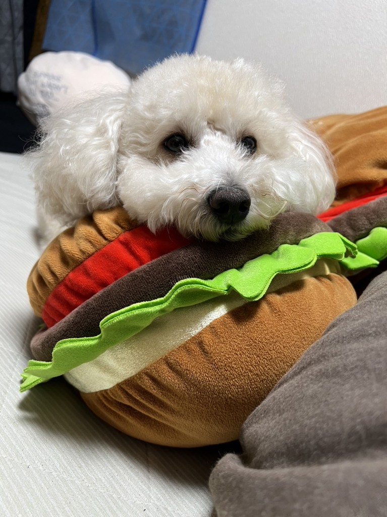 ユーザーアイコン