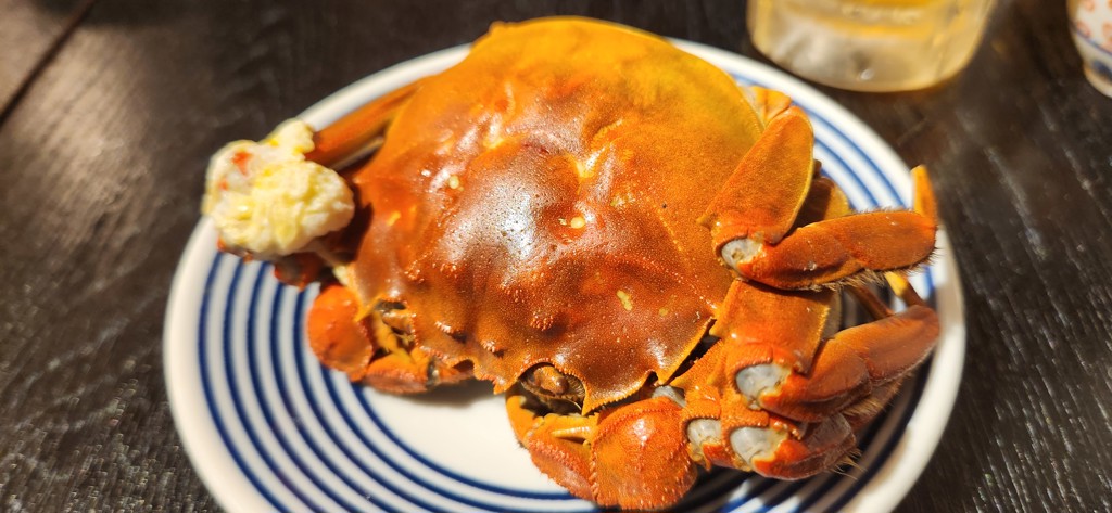 イルミネーション12