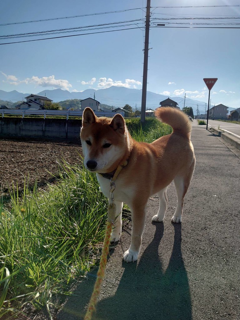 ジンくん