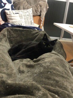 じじ
