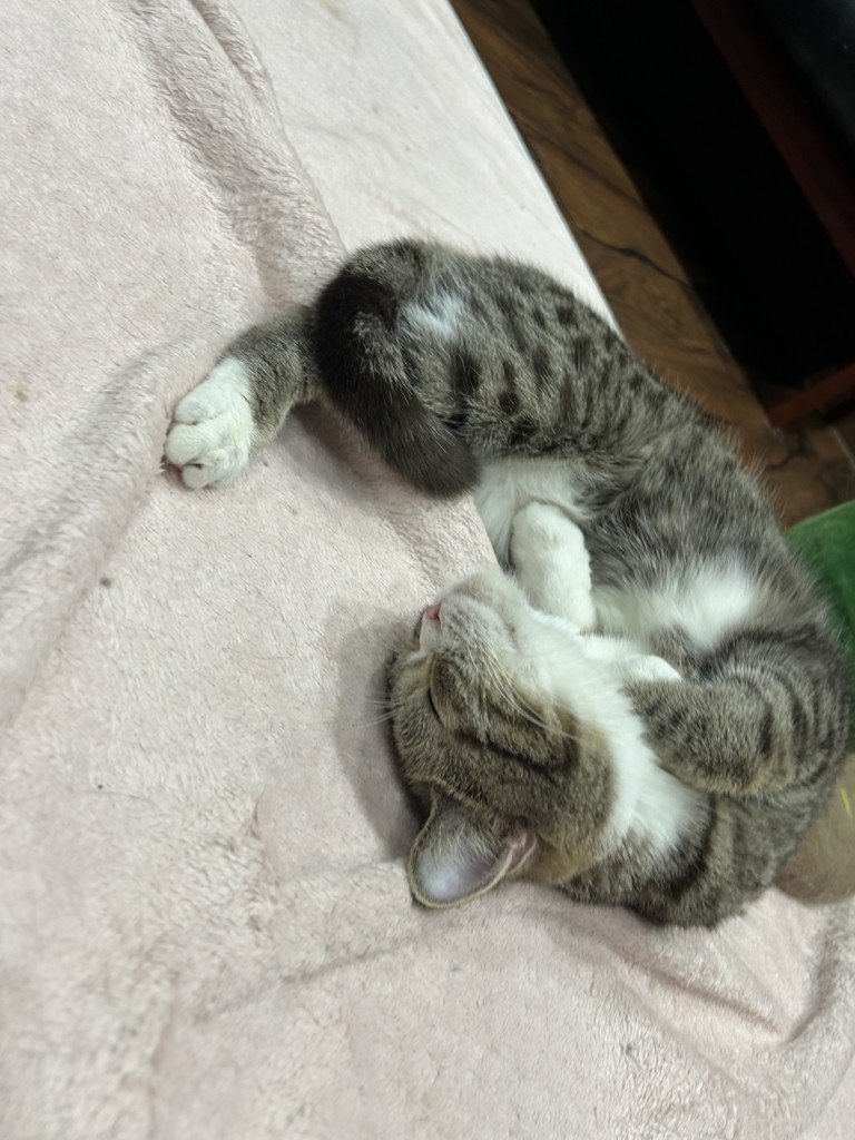 とも