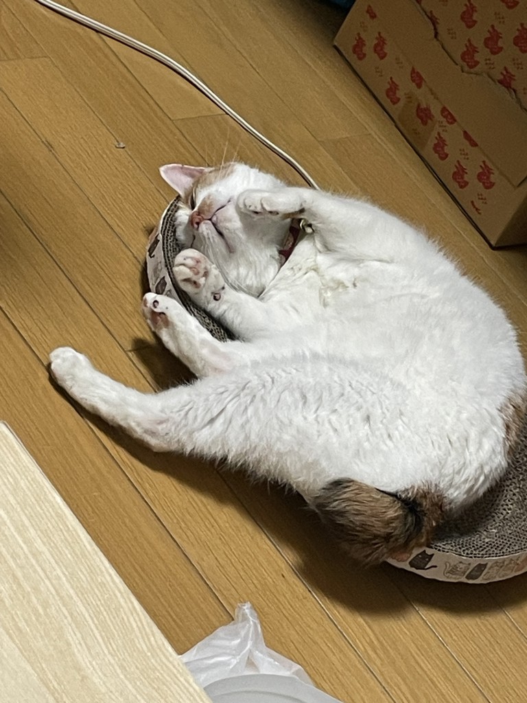 李華