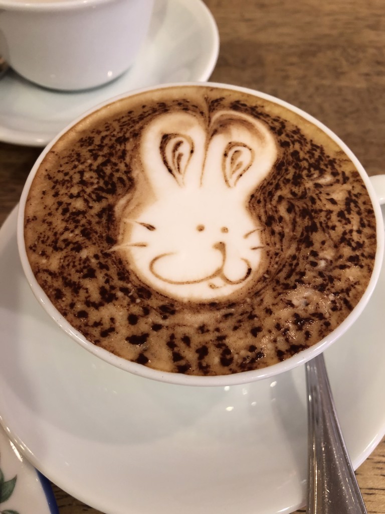 ハルちゃん