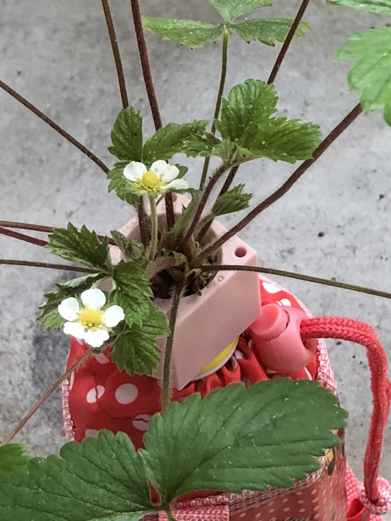 ユーザーアイコン