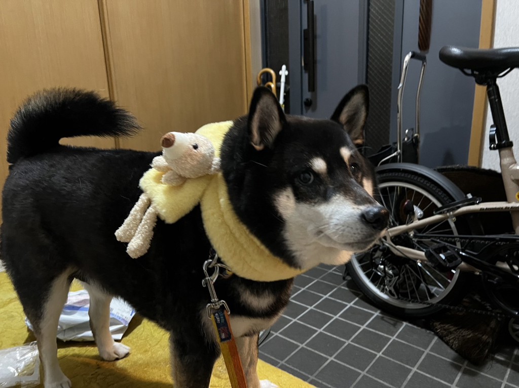 とっとことくたろう