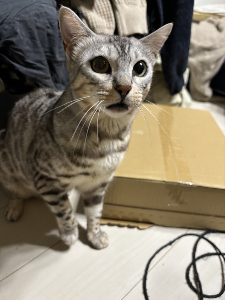 no name