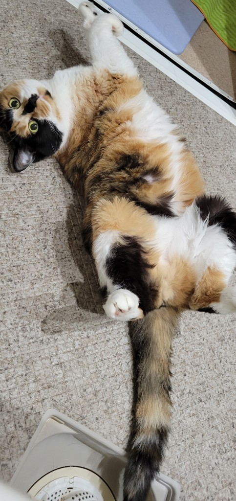 ゆん