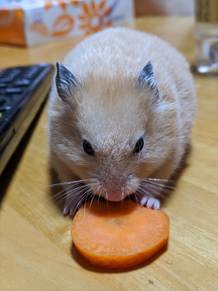 ユーザーアイコン