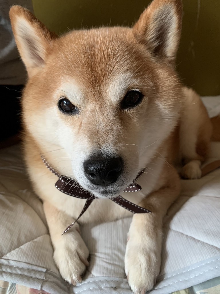 行