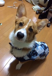 グランマ