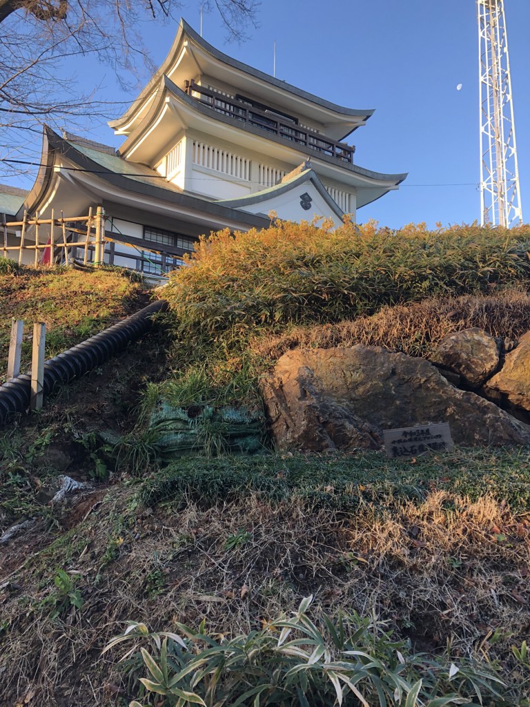 けんしんパパ