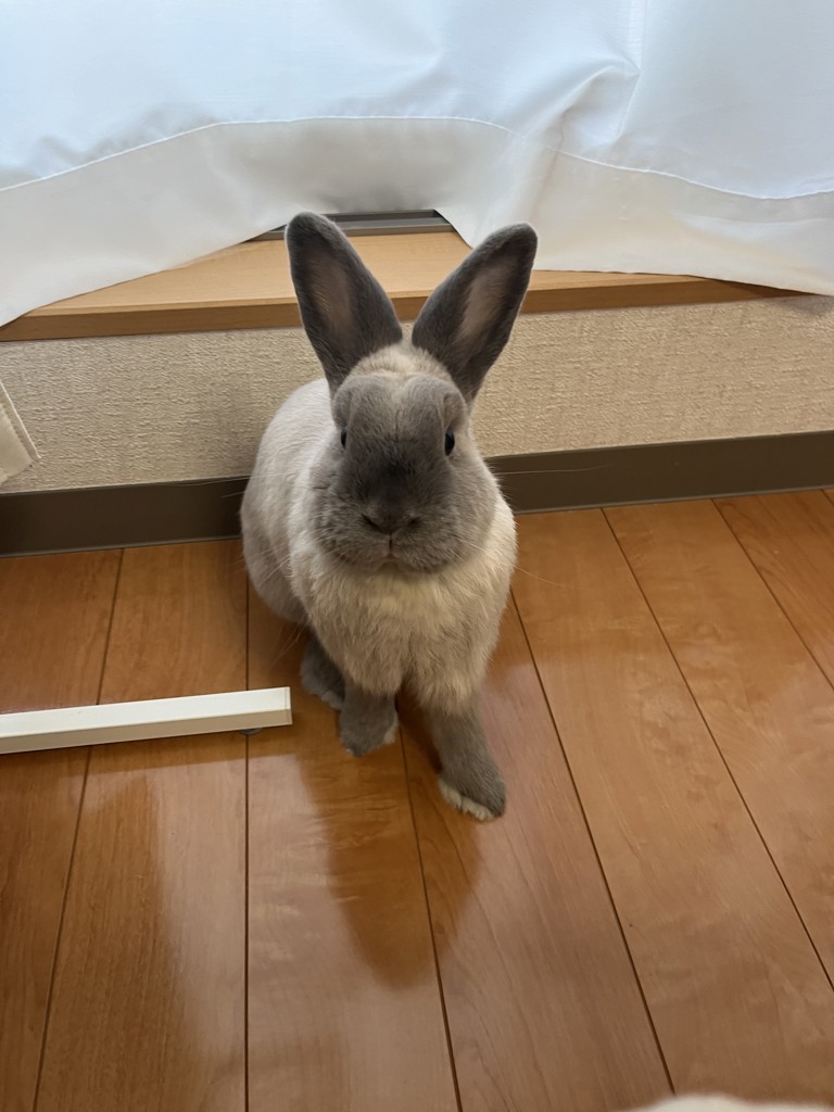 なっちゃん