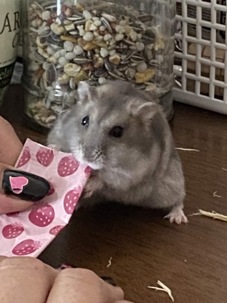 まぁ