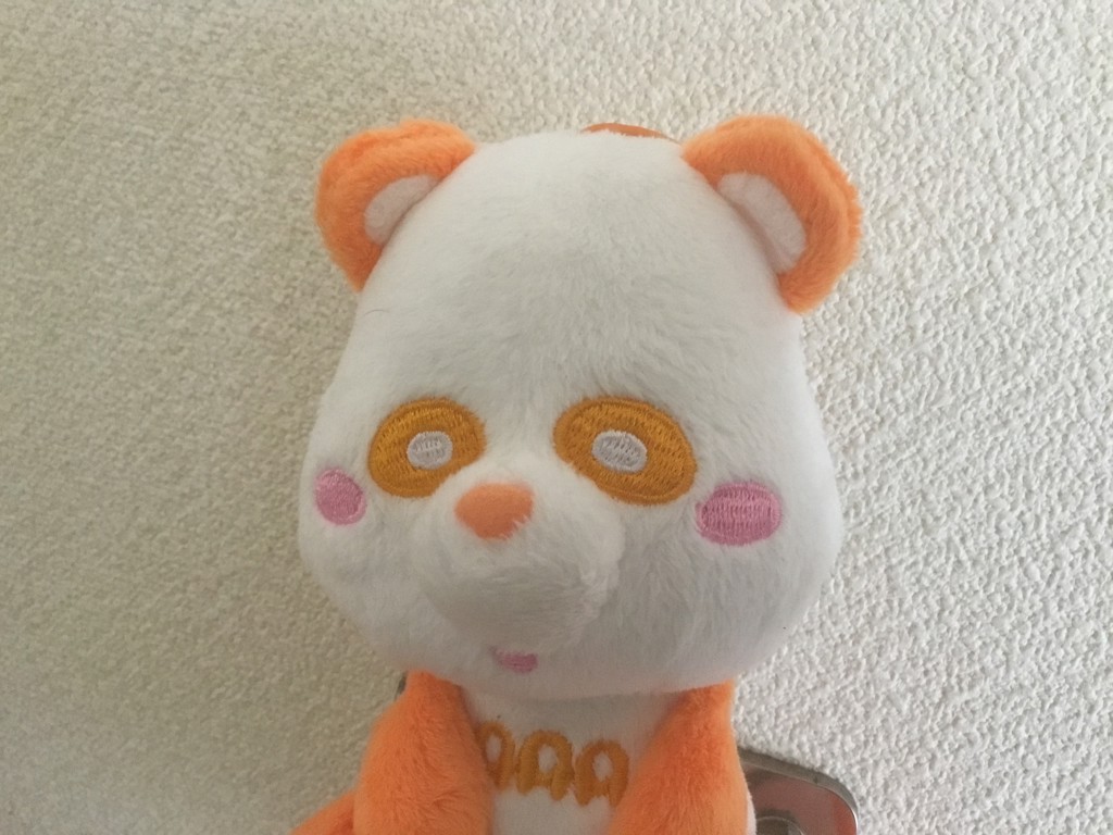 きんちゃん