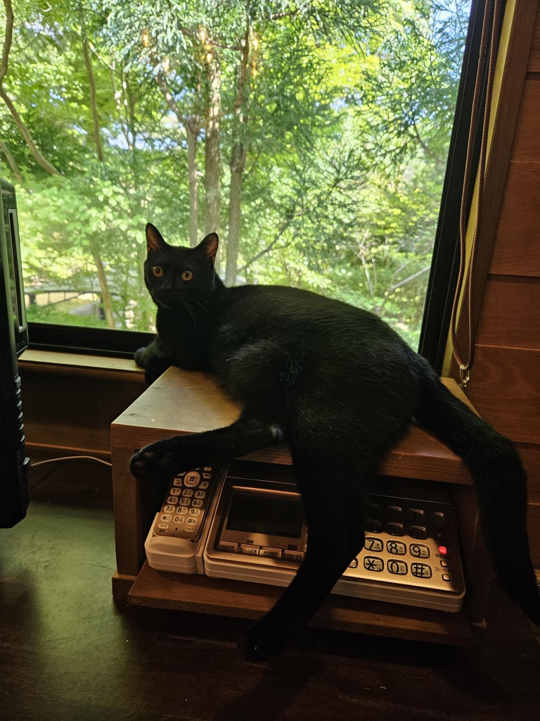 ユーザーアイコン