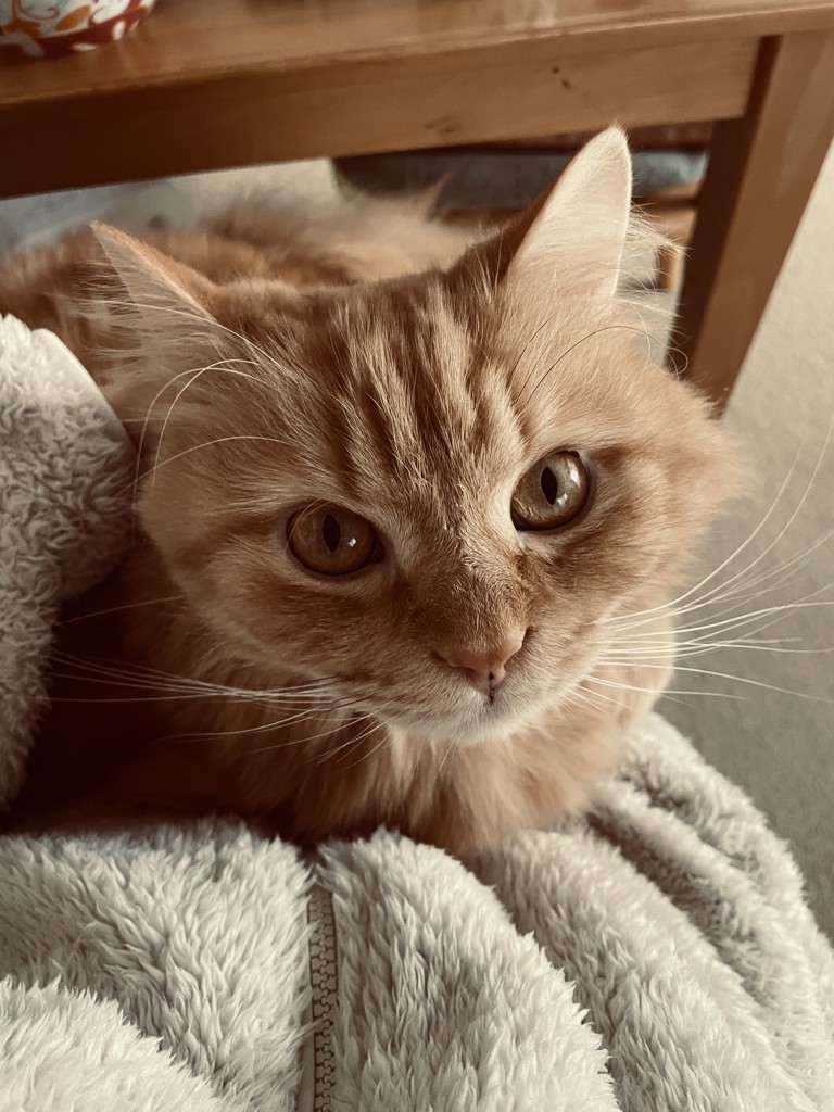 no name