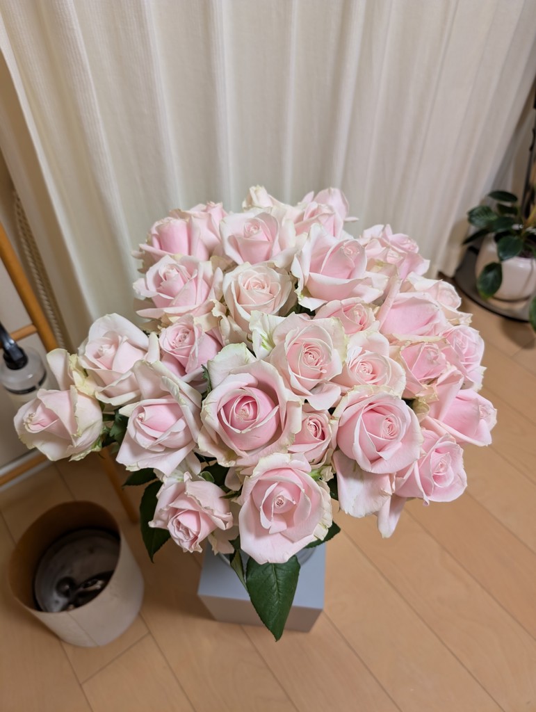 バラの花束「モダンローズ ベビーピンク」｜フラワーギフト通販なら