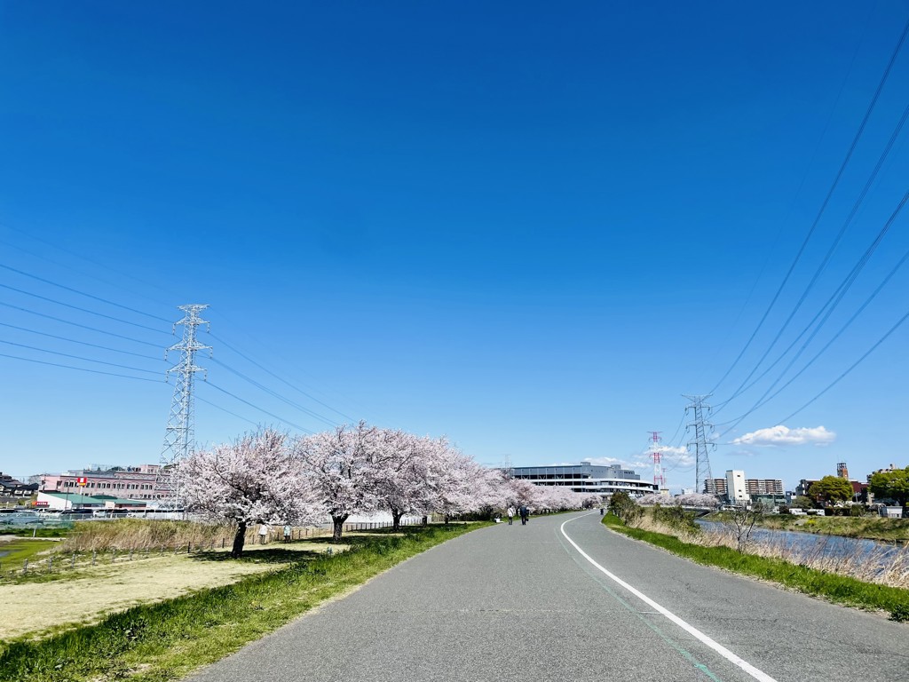 harutan