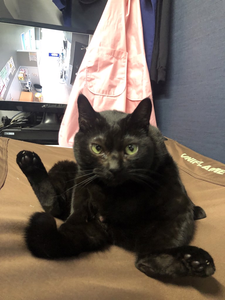 コロ助