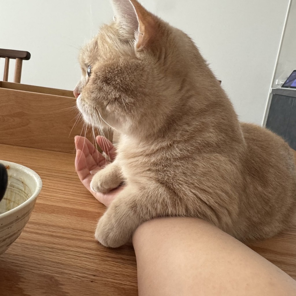 ユーザーアイコン
