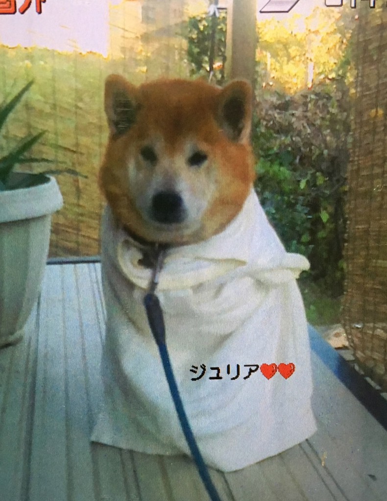 ユーザーアイコン
