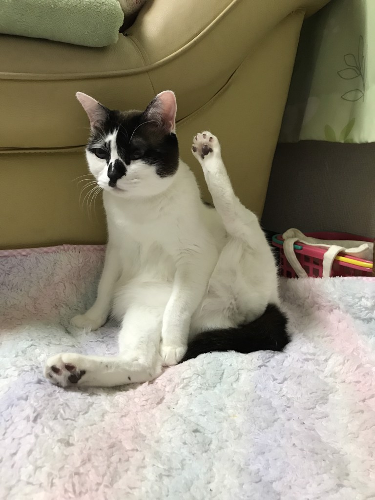 れおまま