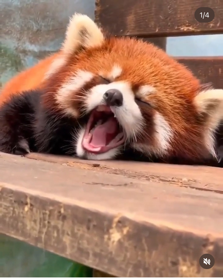 こう