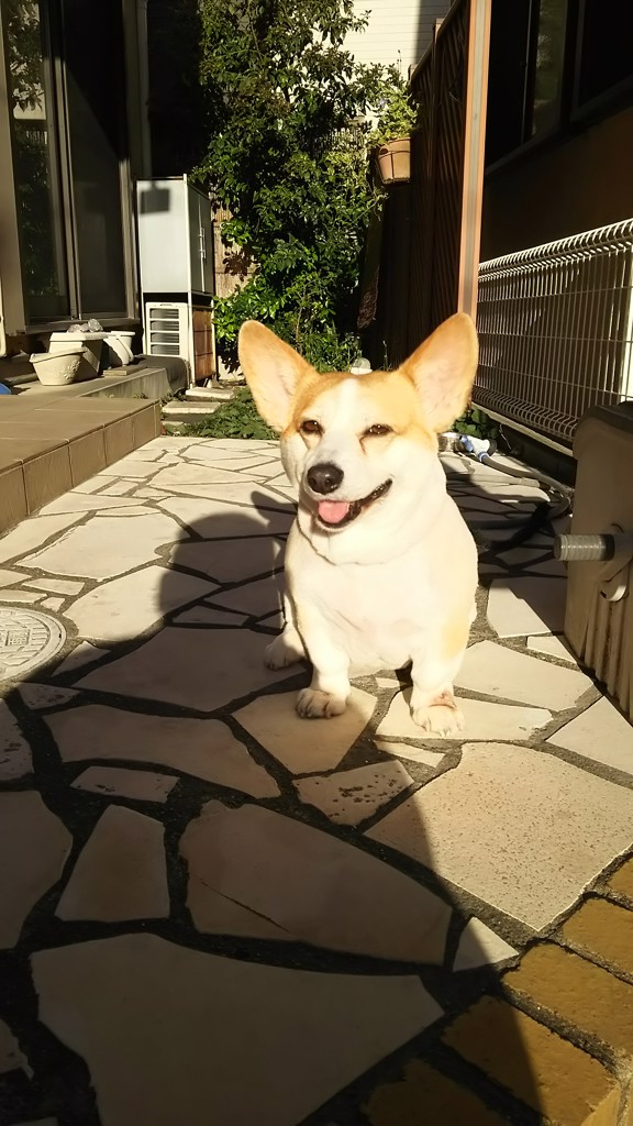 ナナナツ美久