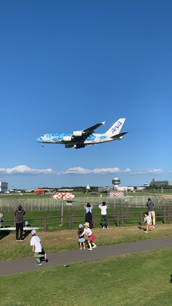 たまやん