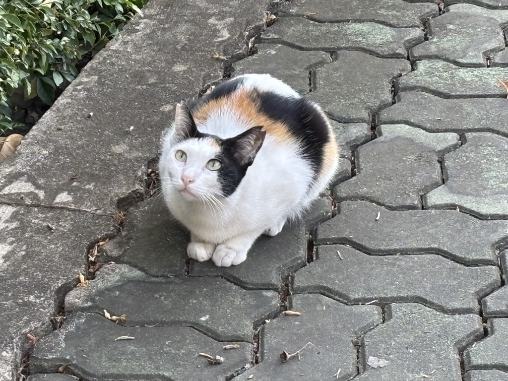 no name