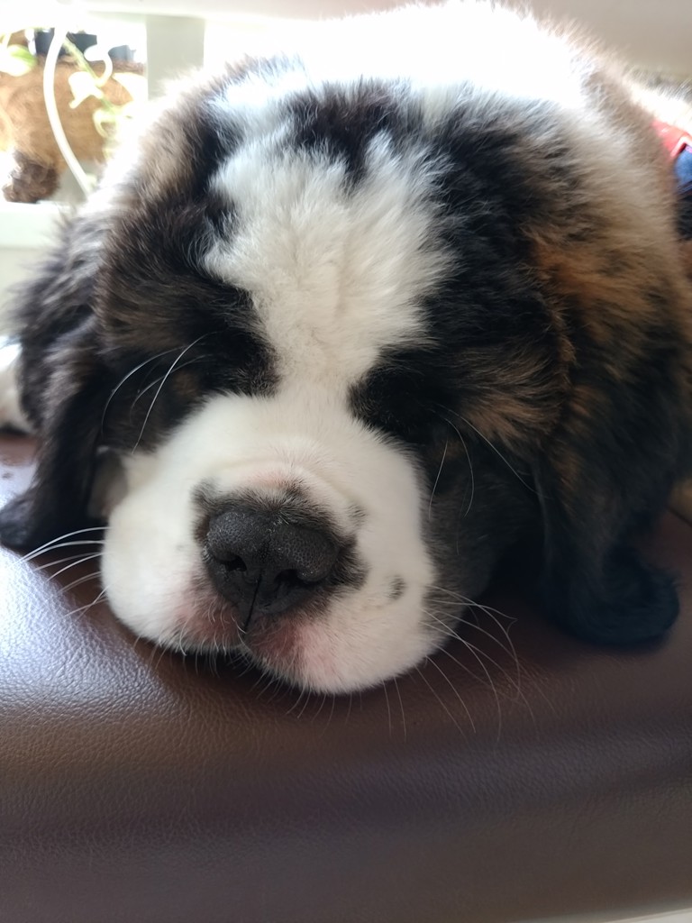 no name