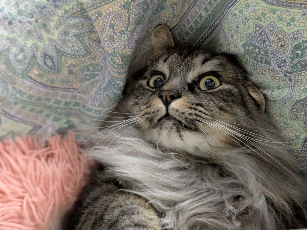 no name