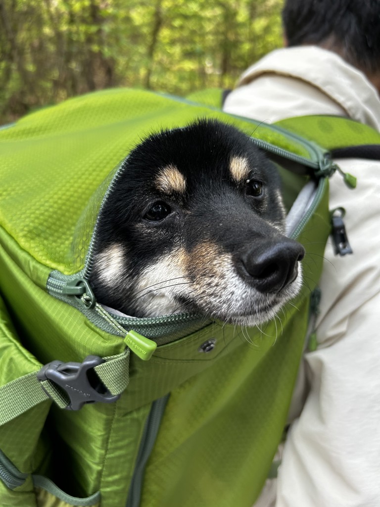 もっちー