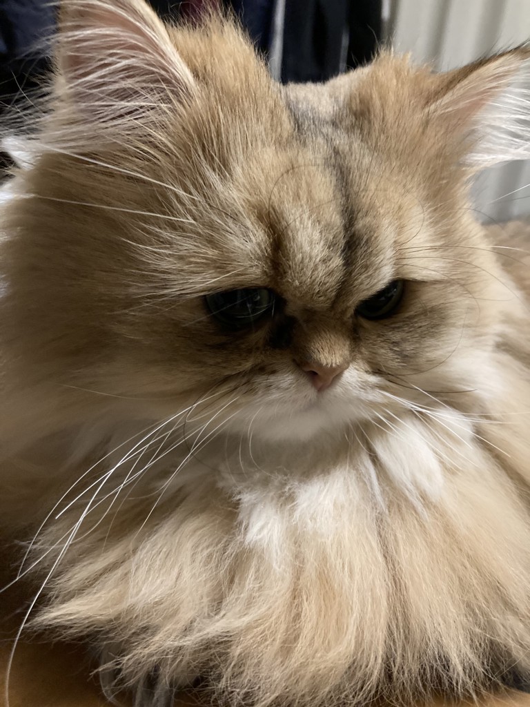 no name