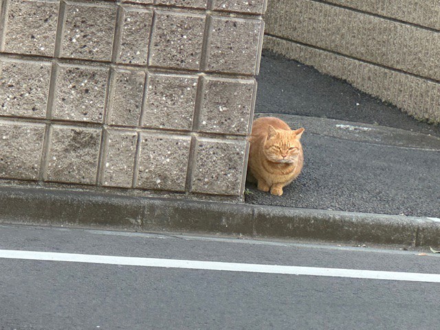 にゃ