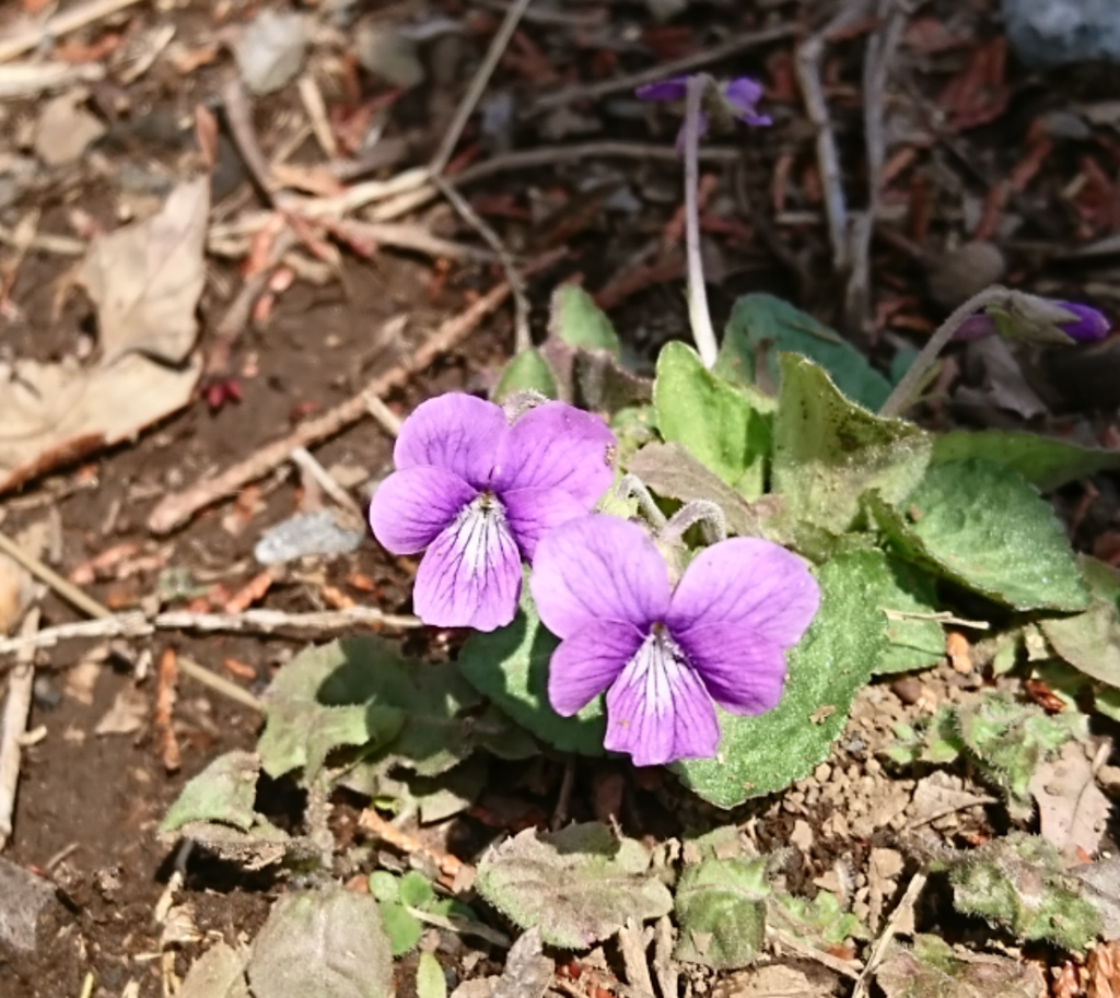 0405